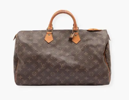 louis vuitton speedy