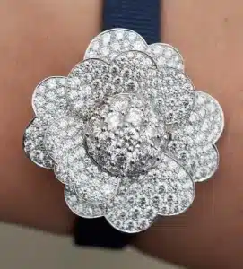 Cosmos Secret Watch