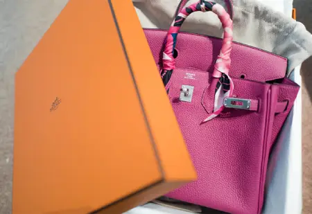 New Birkin Bag