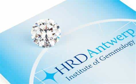 hrd antwerp